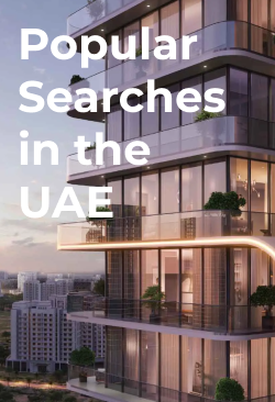 Popular Searches in the UAE